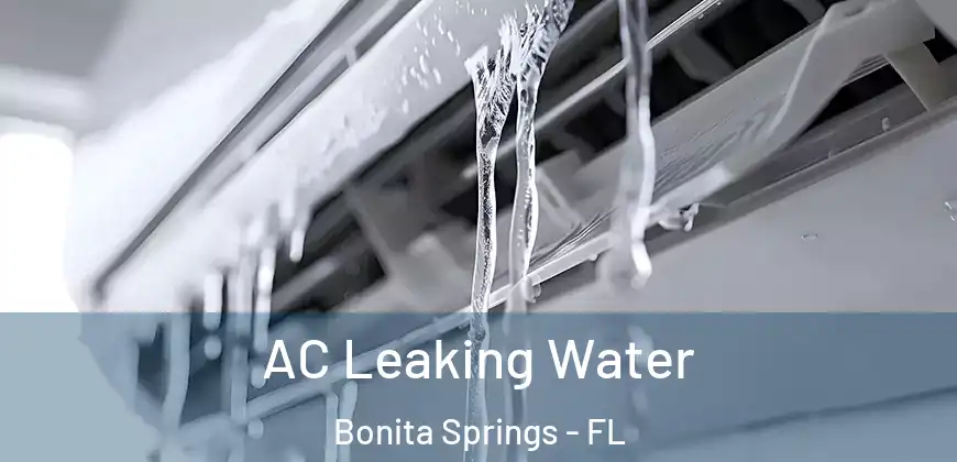  AC Leaking Water Bonita Springs - FL